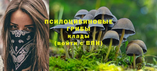 мескалин Богородицк